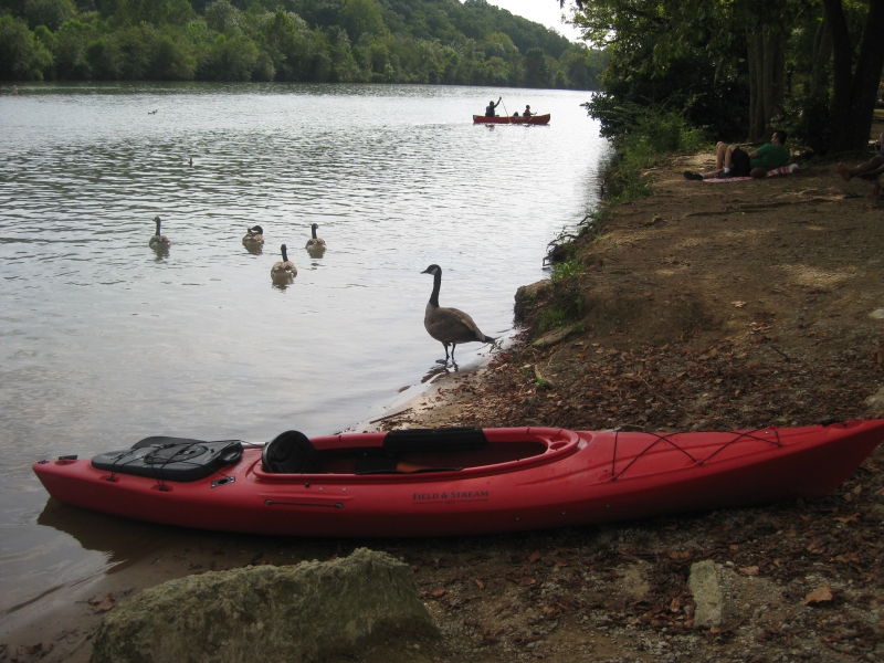 CHATTAHOOCHEE RIVER DON WHITE MEMORIAL PARK TO ROSWELL RIVER LANDING