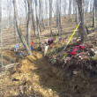 trail-work