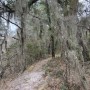 IMG_2747