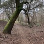 IMG_2796