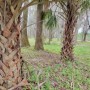 IMG_8754