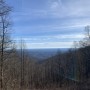 IMG_2435