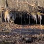IMG_2440