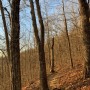 IMG_2451