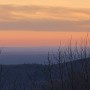 IMG_2456