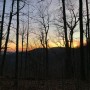 IMG_2475