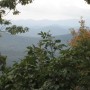 IMG_1424