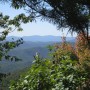 IMG_1436