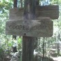 IMG_1439