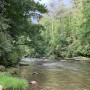 IMG_0273