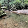 IMG_05571