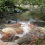 IMG_05701