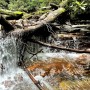 IMG_05961