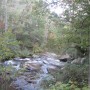 IMG_3291