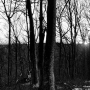 IMG_0507