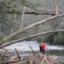 IMG_1457