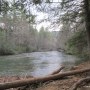 IMG_1458