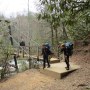 IMG_1481