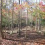 IMG_3326-Copy