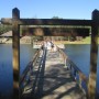 IMG_3367-Copy