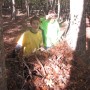 IMG_3382-Copy