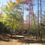 IMG_3417-Copy