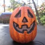 IMG_3419-Copy