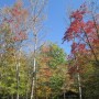 IMG_3423-Copy