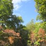 IMG_4801