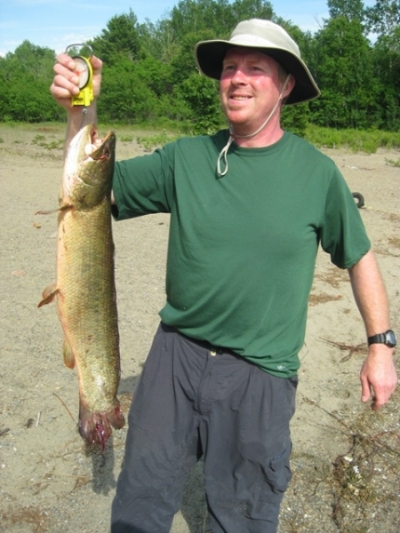Bowfin 10.75lb