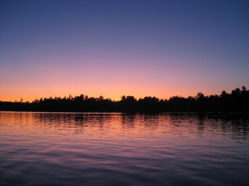 IMG_0336