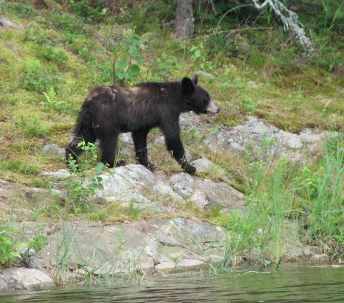 canada07-09 127
