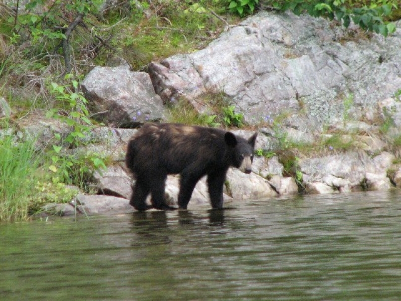 canada07-09 130