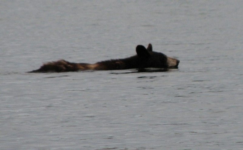 canada07-09 132