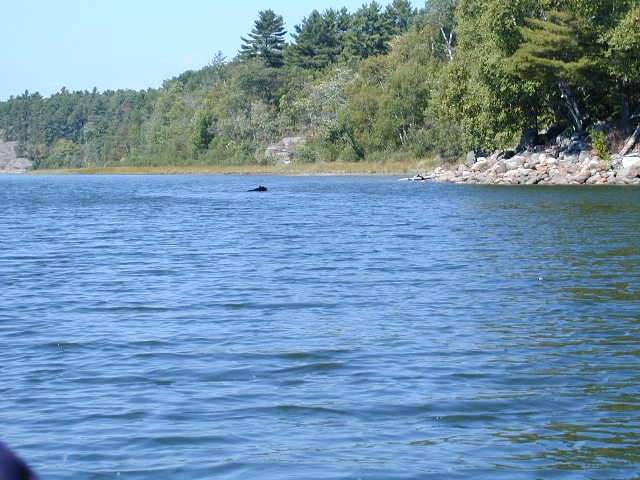 BEAVERSTONE BAY