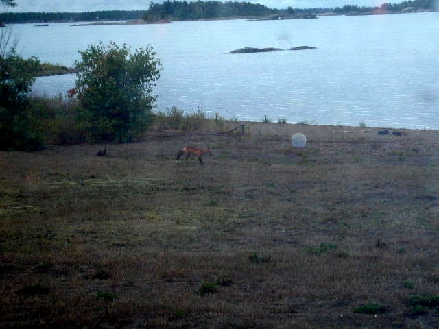 BEAVERSTONE BAY