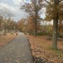 IMG_5404