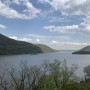 IMG_6771