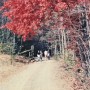 Mountain-Weekend-Gravel-Road-10_28_89