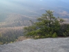 LOOKING GLASS ROCK