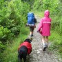 IMG_0709