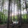 IMG_0725