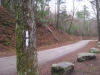 DAVENPORT GAP