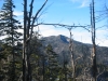 MOUNT LECONTE