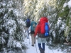 MOUNT LECONTE