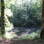 IMG_2705