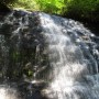 IMG_2715