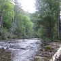 IMG_2727
