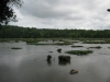 LANDSFORD CANAL 