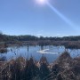 IMG_6034